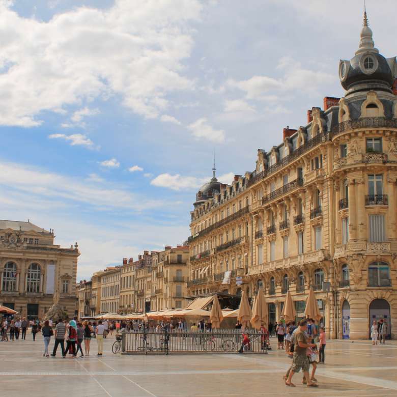 Viager à Montpellier en 2026 : prix immobilier, quartiers et conseils pour vendre